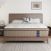 Load image into Gallery viewer, Pain Relieving Hybrid Mattresses For Extra Lumbar &amp; Hip Support - 365-Night Trial - Fiberglass-Free Bed In A Box - No Odor, Certipur-US Certified